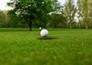 Golf: The Players Championship