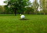 Golf: The Players Championship