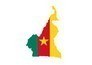 Green Lions: Cameroon '90