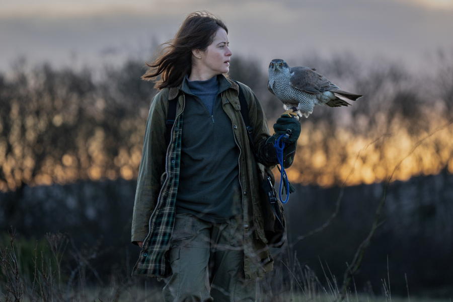 H Is for Hawk