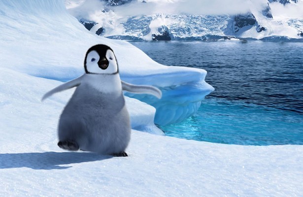 Mumble in Happy Feet