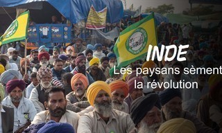 Indiens wütende Bauern