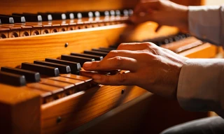 In the Organ's Stomach