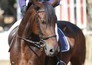 Longines League of Nations