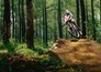 Mountainbiken: World Series review