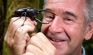 Nigel Marven's wild Central America