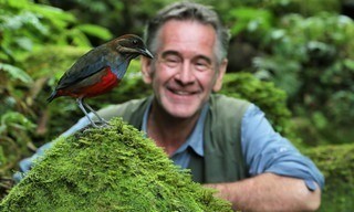 Nigel Marven's wild Philippines