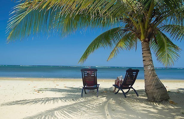Palmboom strand