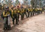 Only the Brave