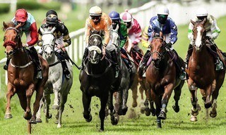 Paardenrennen: Royal Ascot