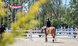 Paardensport: League of Nations in Rotterdam