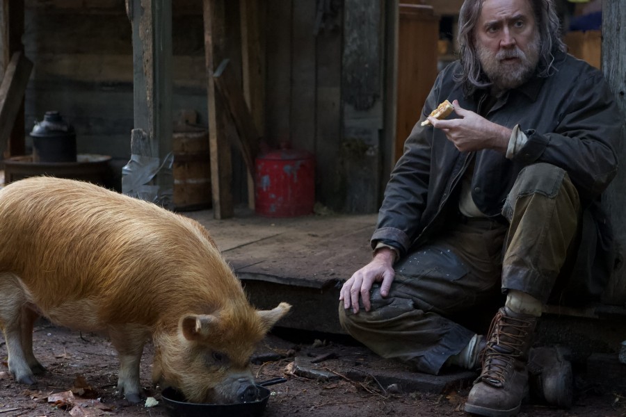 Pig