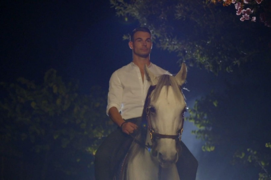 Prince Charming