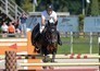 Paardensport: CSI Ommen