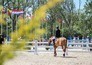 Paardensport: League of Nations in Rotterdam