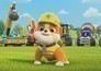Rubble & crew