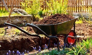 Schnittgut. Alles aus dem Garten