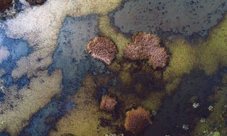 Serbien - Land des Wassers