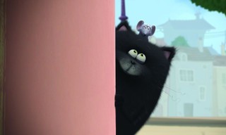 Splat & Seymour