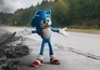 Sonic the Hedgehog