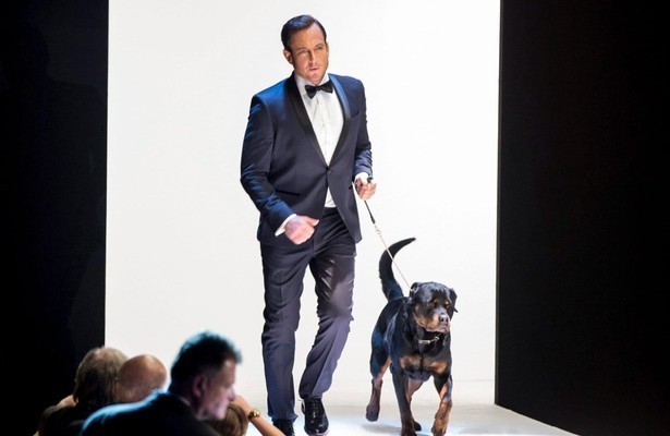 Show Dogs