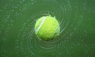 Tennis: ATP 250 - Libéma Open