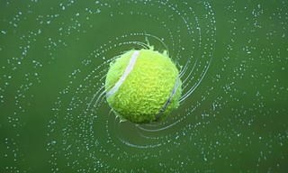 Tennis: ATP 250 - Libéma Open