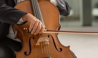 The 12 Cellists of the Berliner Philharmoniker