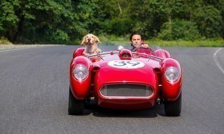 The Art of Racing in the Rain