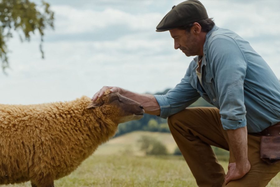 The Sheep Detectives