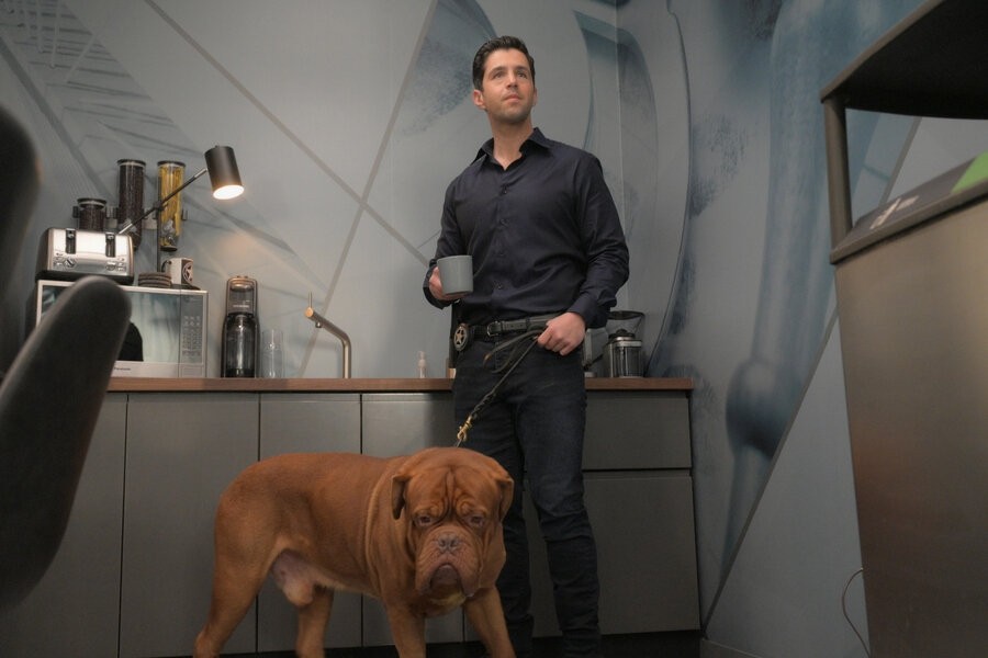 Turner & Hooch