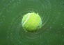 Tennis: ATP 250 - Libéma Open