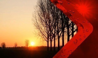 Weer