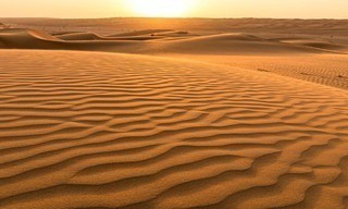 Wildest Middle East