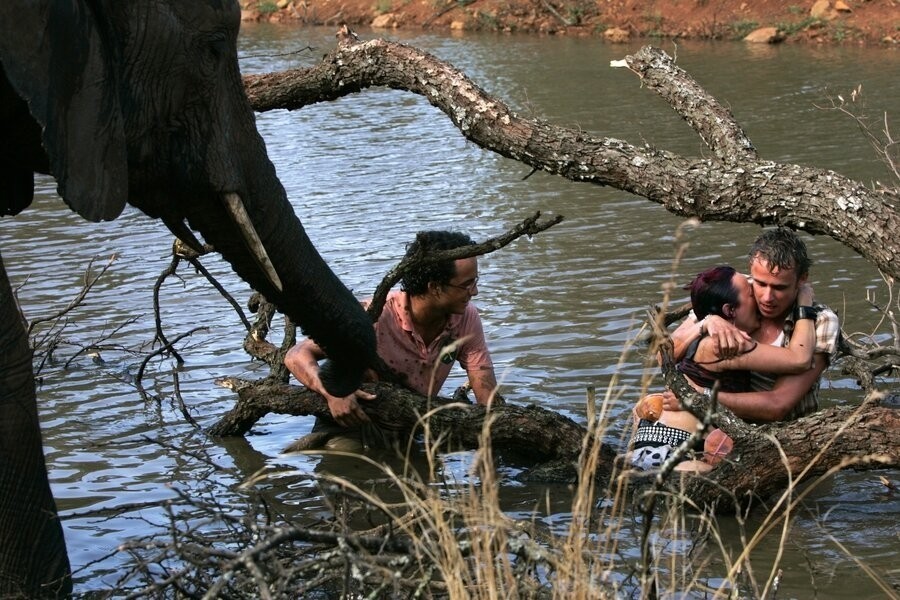 Zoop in Afrika