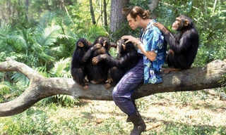 Ace Ventura: When Nature Calls