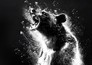 Cocaine Bear