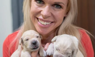 Een dag in de dierenkliniek