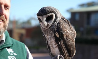 Een dag in de dierentuin: Pairi Daiza