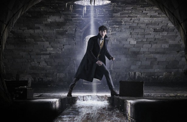 Eddie Redmayne als Newt Scamander in Fantastic Beast: The Crimes of Grindelwald