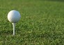 Golf: Scottish Open