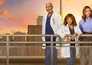 Grey's anatomy