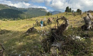 plan b: Jeder Baum zählt - Neue Ideen für die Rettung der Wälder