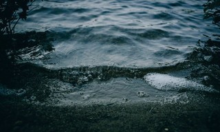 Lake Erie
