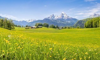 Re: Von der Großstadt auf die Alm