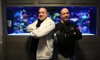 Tanked