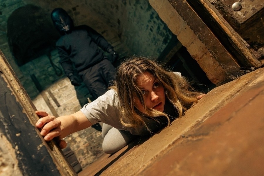The Cellar