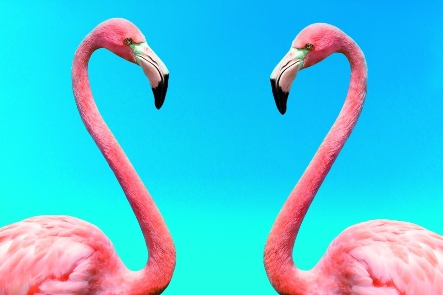 The Mating Game