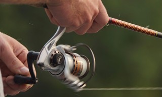 Vissen: Fish-o-mania
