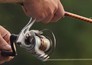 Vissen: Fish-o-mania